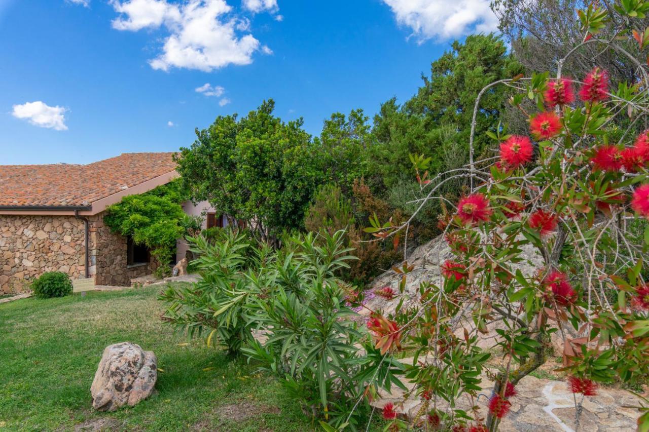 Villino D5 Coda Cavallo Villaggio Cala Paradiso Holiday home San Teodoro (Sardinia)