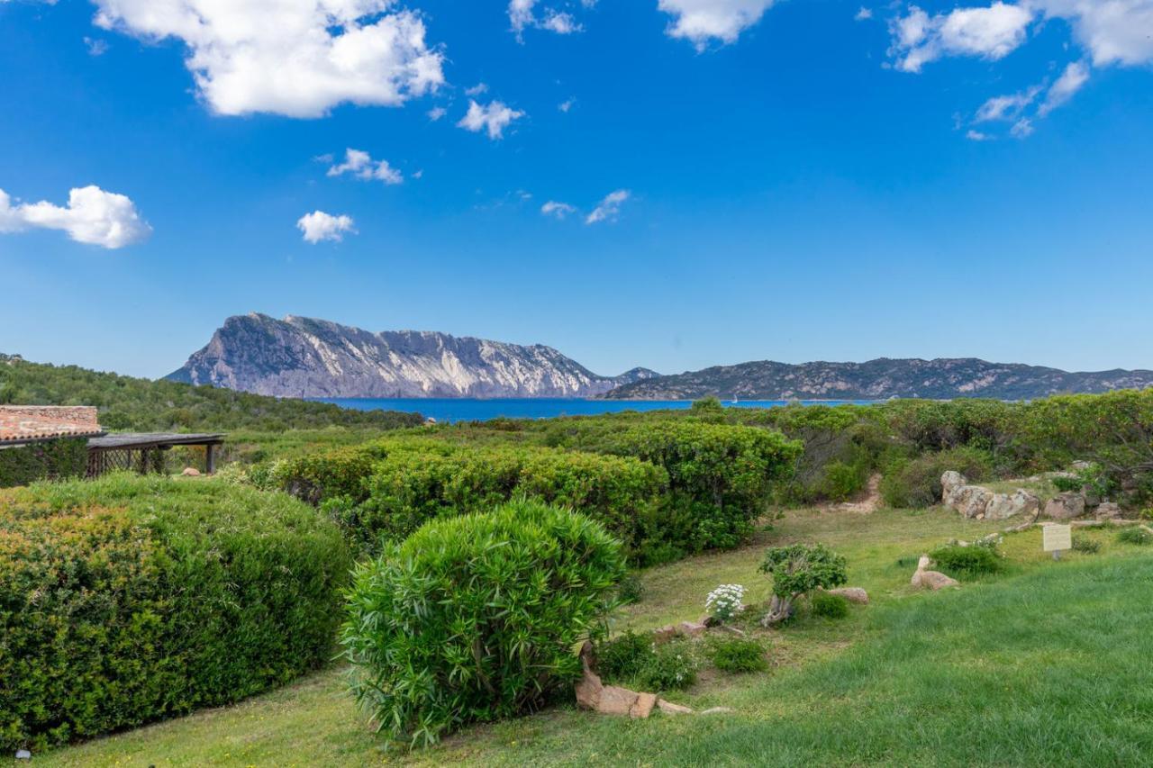 Villino D5 Coda Cavallo Villaggio Cala Paradiso *