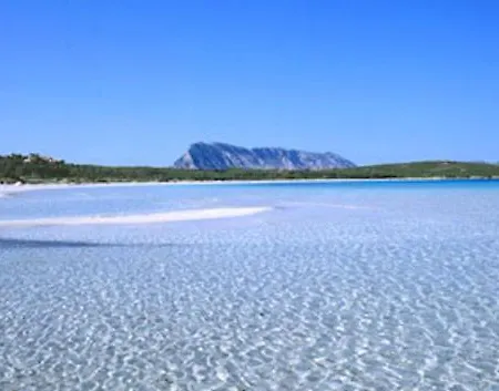 Villino D5 Coda Cavallo Villaggio Cala Paradiso San Teodoro  Buitenkant foto