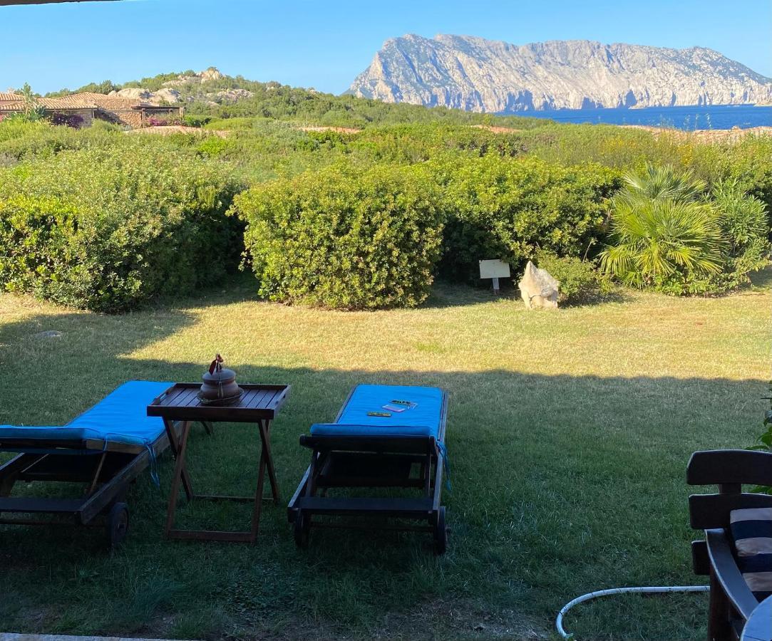 Ferienhaus Villino D5 Coda Cavallo Villaggio Cala Paradiso San Teodoro (Sardinia)