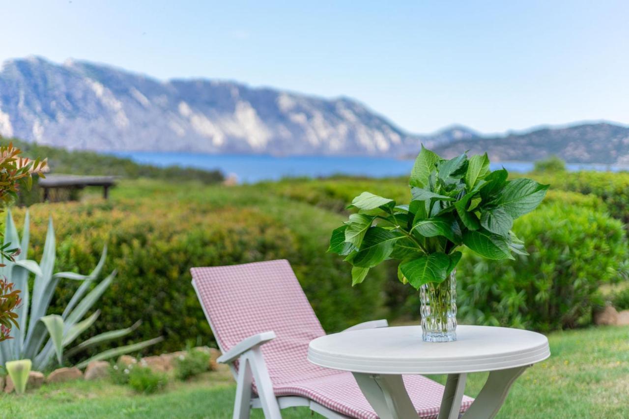 Villino D5 Coda Cavallo Villaggio Cala Paradiso Ferienhaus